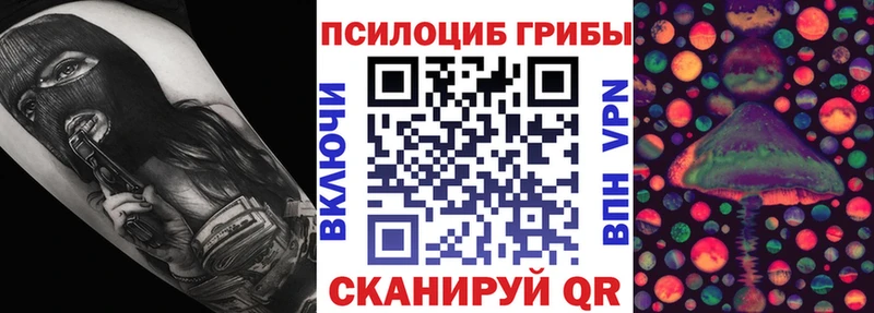 Псилоцибиновые грибы MAGIC MUSHROOMS  купить  сайты  Высоцк 